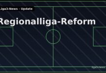 Regionalliga-Reform: Neuer Vorschlag sorgt für massive Kritik
